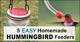 homemade hummingbird feeders 5 easy