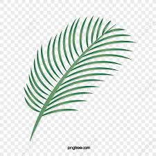 cartoon green tropical palm leaves