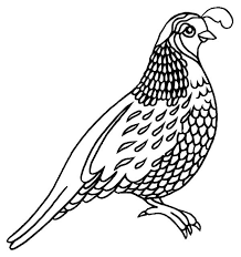 Coloringanddrawings.com provides you with the opportunity to color or print your bambi and mrs. Quail Coloring Pages For Preschool Preschool Crafts Bird Coloring Pages Coloring Pages Easy Disney Drawings