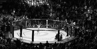 The great collection of ufc wallpapers for desktop, laptop and mobiles. Ufc Mixed Martial Arts Mma Fight Extreme Battle Battles Stadium Crowd Crowds B W Black Wallpaper 1997x1011 85487 Wallpaperup
