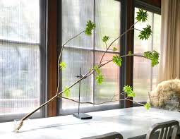 cut tree branches for decor