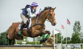is-show-jumping-an-expensive-sport