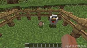 You can craft food items in minecraft such as apple, carrot, potato, melon, bread, cake, cookies, golden apple, golden carrot, baked potato, pumpkin pie, mushroom stew, rabbit stew, steak, cooked porkchop, cooked mutton, cooked chicken, cooked rabbit, cooked fish. How To Get An Egg From A Chicken In Minecraft