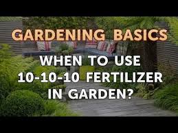 10 10 10 fertilizer in garden