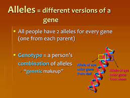 ppt genetics powerpoint presentation