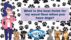 wood floor when you have big dogs