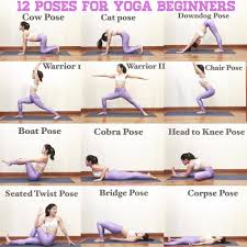 12 poses for yoga beginners s3 yoga