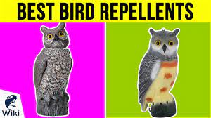 10 best bird repellents 2019 you
