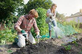 What Is Green Gardening And Why Should