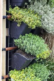 Vertical Vegetable Gardening Rhs