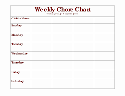 Daily Chore Chart Template Beautiful Daily Chore Chart