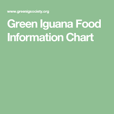 Green Iguana Food Information Chart Lizards And Turtles