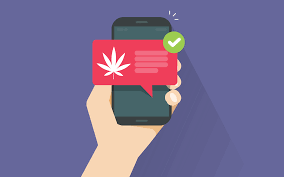 Eaze is a medical cannabis delivery application that is popular for connecting independent, licensed dispensaries with verified legal users. Legal Marijuana Delivery Services Tips And Faqs Leafly