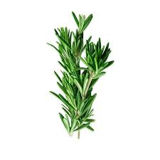 BİBERİYE ile ilgili görsel sonucu