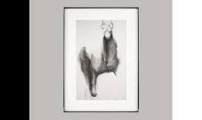 how to framing a charcoal reion