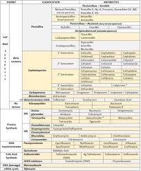 Antibiotics Chart Nursey Stuff Pharmacology Nursing