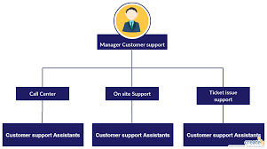 Customer Support Division Structure Org Chart Representing