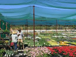 Blooms Whole Nursery Sonoma County