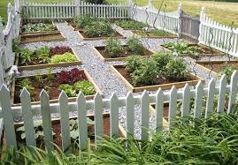 the pros and cons of raised beds preen