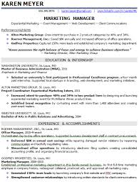 Resume Examples It  download resume examples it professional  it     Pinterest