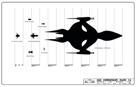 The Warlock Project Tim Earls Oficial Size Charts