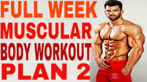 size gain and cutting workout plan in