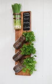 best indoor herb garden ideas for your