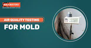 Air Quality Testing For Mold Types Of
