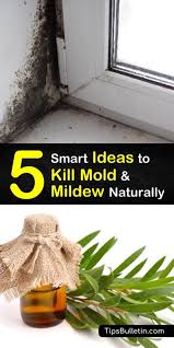 to kill mold and mildew naturally