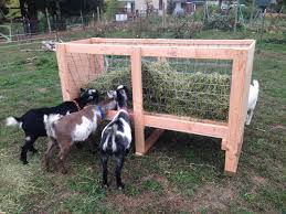 homemade goat feeders on the