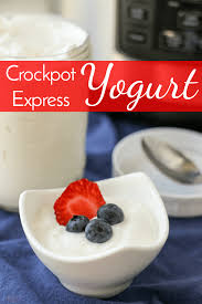 crockpot express yogurt everything you