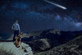 We did not find results for: Best Places In Western Colorado To See The Meteor Shower Rocky Mountain Health Plans Blog