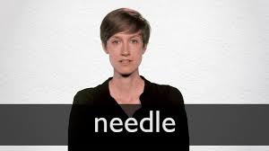 needle definition in american english
