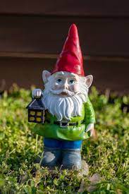 The Great Garden Gnome Debate What S