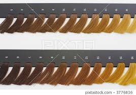 Beauty Salon Color Chart Stock Photo 3776816 Pixta