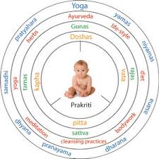 Prakriti Analysis Helps You Determine Your Ayurveda Body