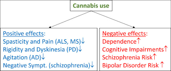 Grpahical Abstract Pros And Cons Of Medical Cannabis Use