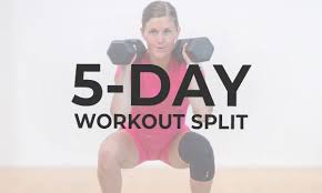 5 day workout split with daily videos