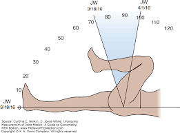 26 Surprising Normal Joint Range Of Motion Chart