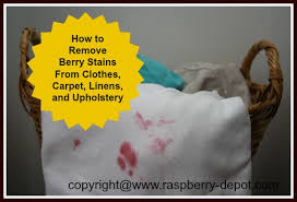 remove raspberry and other berry stains