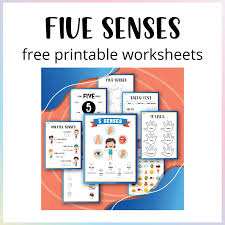 5 senses worksheets for pre and