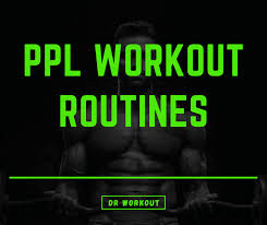 20 ppl split workout routines 3 6 day