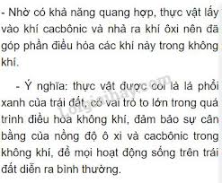 Káº¿t quáº£ hÃ¬nh áº£nh cho vÃ¬ sao nÃ³i thá»±c váº­t lÃ  lÃ¡ phá»i xanh cá»§a trÃ¡i Äáº¥t