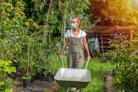 plant a victory garden