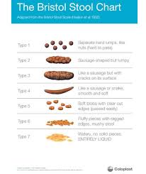 The Truth About Your Poo Bristol Stool Chart Reveals Health