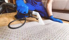 professional area rug wet cleaning in d