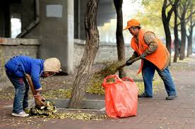 Kết quả hình ảnh cho CÔ QUÉT RÁC