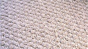 cleaning berber carpet host