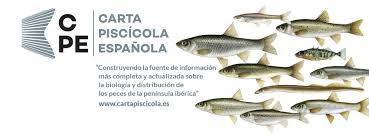 Spanish Fish Chart Sibic