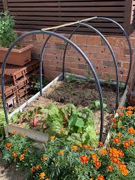 diy netting for raised garden beds
